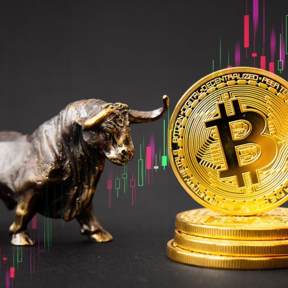 Boğa Sezonu Nedir ?