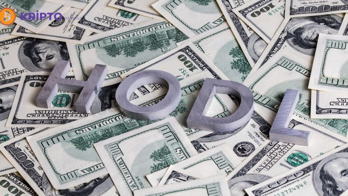 HODL Nedir ?